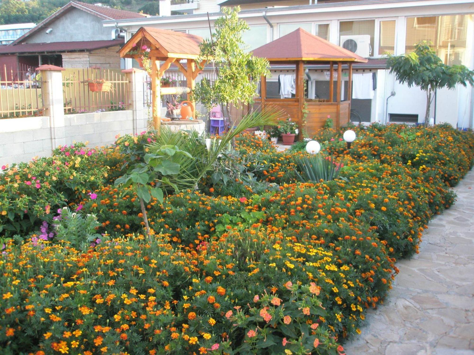 Hotel Morski Dar Kranevo Bagian luar foto